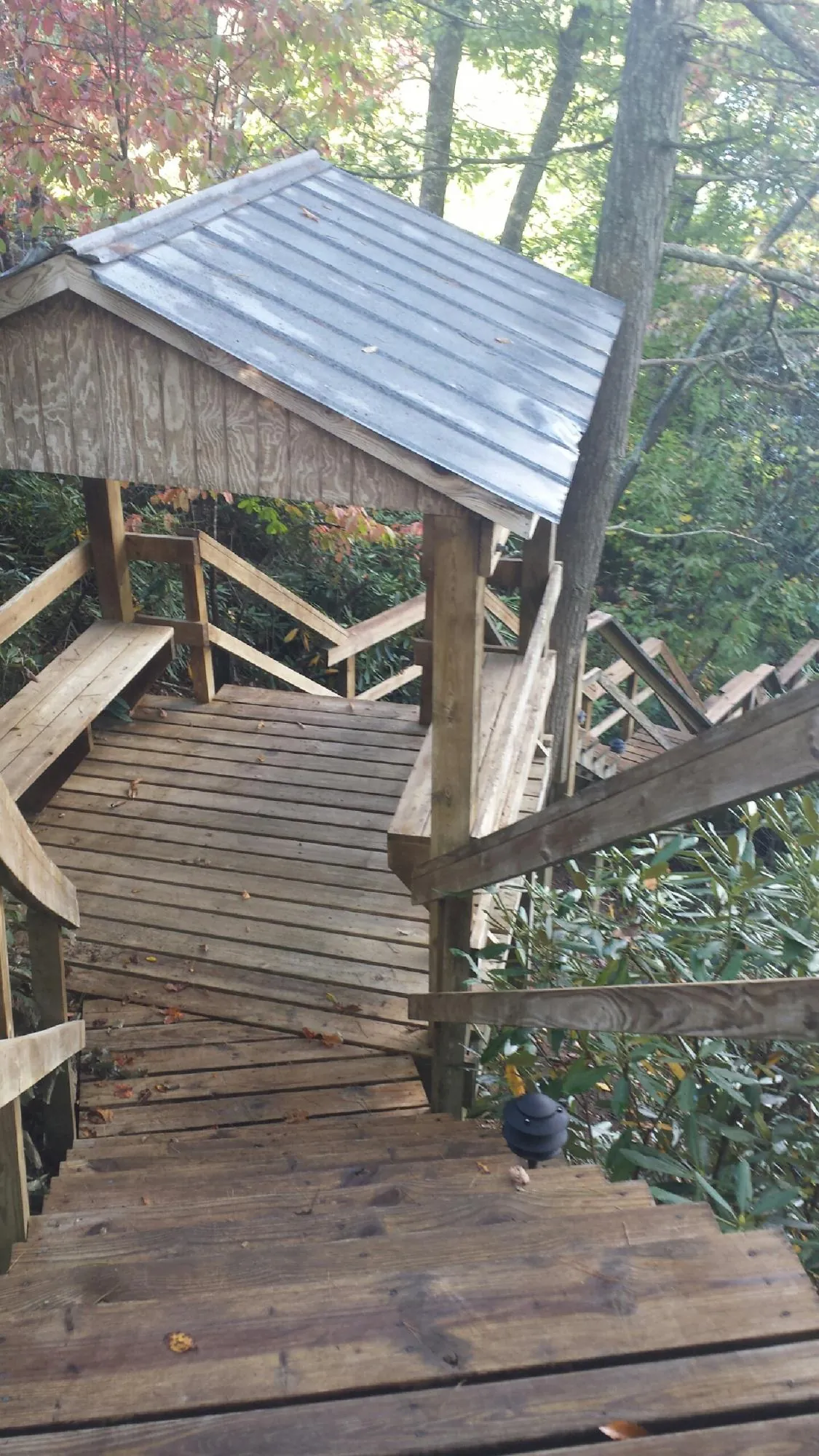 Metal roofed shelter over wooden steps on a wooded walkway — Skylight Repair & Installation work by our crew in Chattaroy