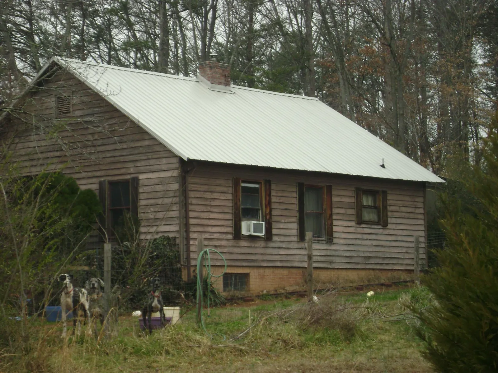 White metal roof on an old wood sided farmhouse, from a Asphalt Shingle Roof Repair job in Chattaroy